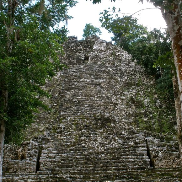 Meet your Posher, Abe - Picture 1 of 1